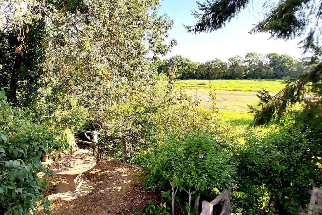 Le Bois Flotte - Maison Au Coeur De La Loire Entre Ville Et Nature Saumur Exteriör bild